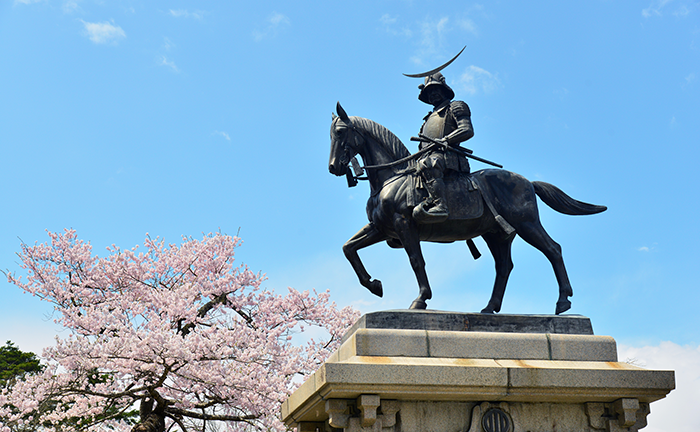 仙台の青葉城址「伊達政宗」の騎馬像と桜の木の写真