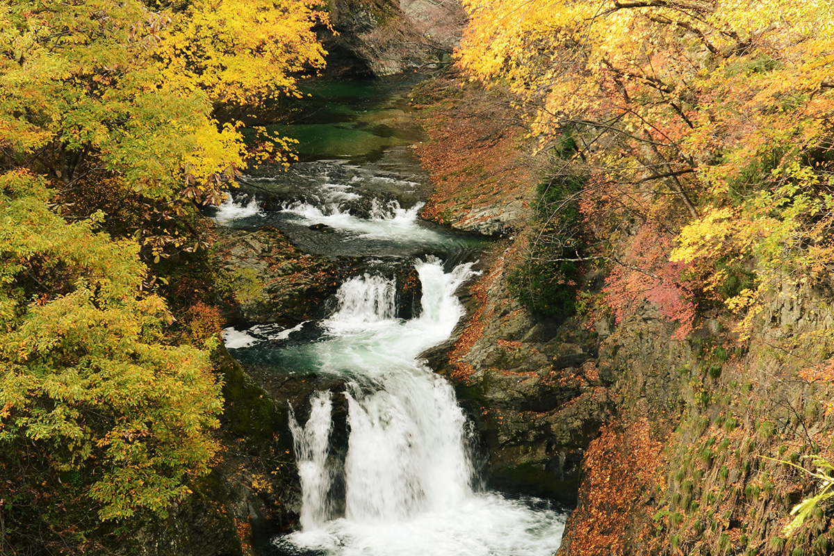 仙台の鳳鳴四十八滝の紅葉の写真