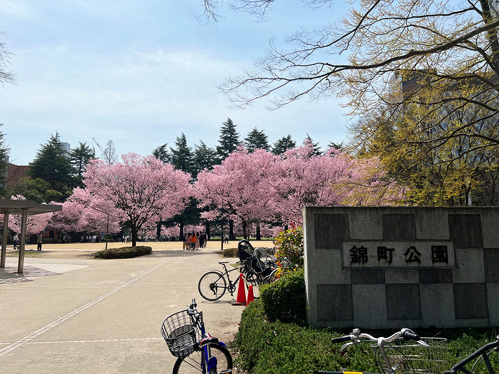 仙台の錦町公園の写真