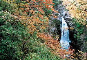 秋保大滝の写真