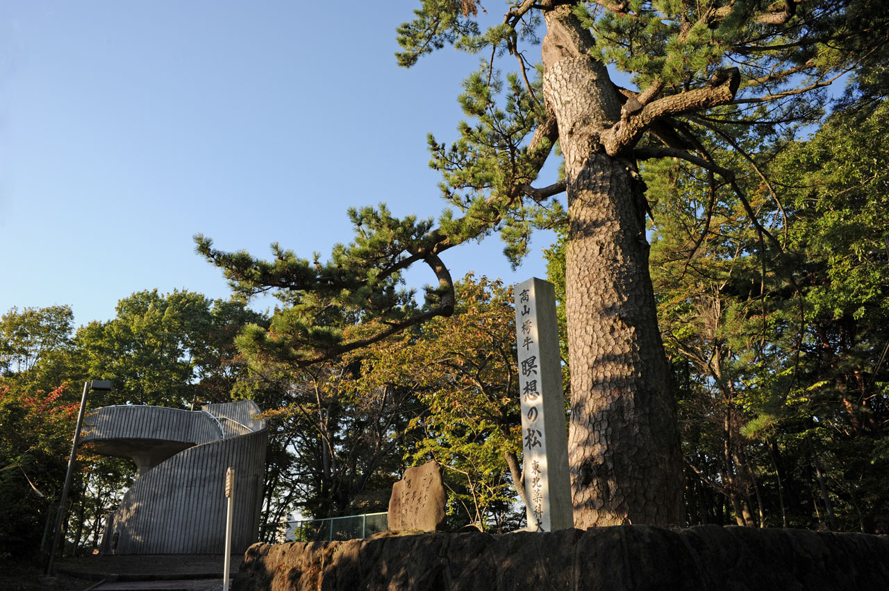 仙台の瞑想の松の写真