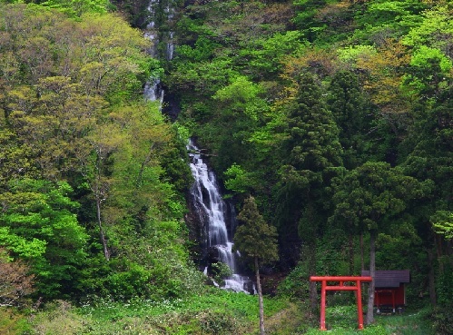 山形の白糸の滝の写真