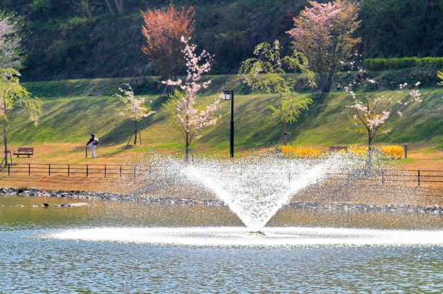 天童公園の写真