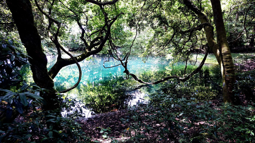 山形県の丸池様の写真