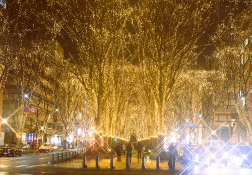 仙台光のページェントの写真