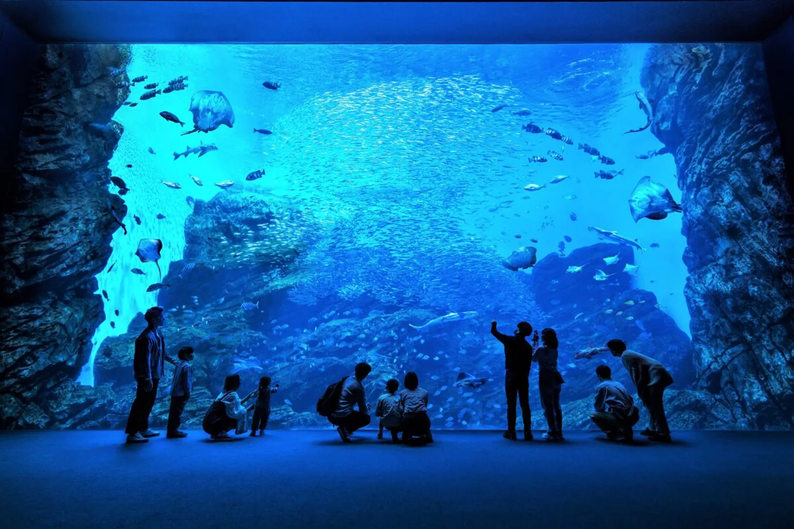 仙台うみの杜水族館の写真