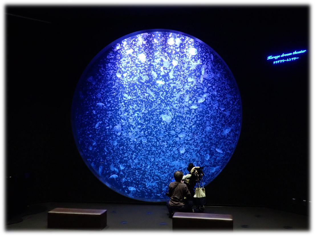 加茂水族館のクラゲドリームの写真