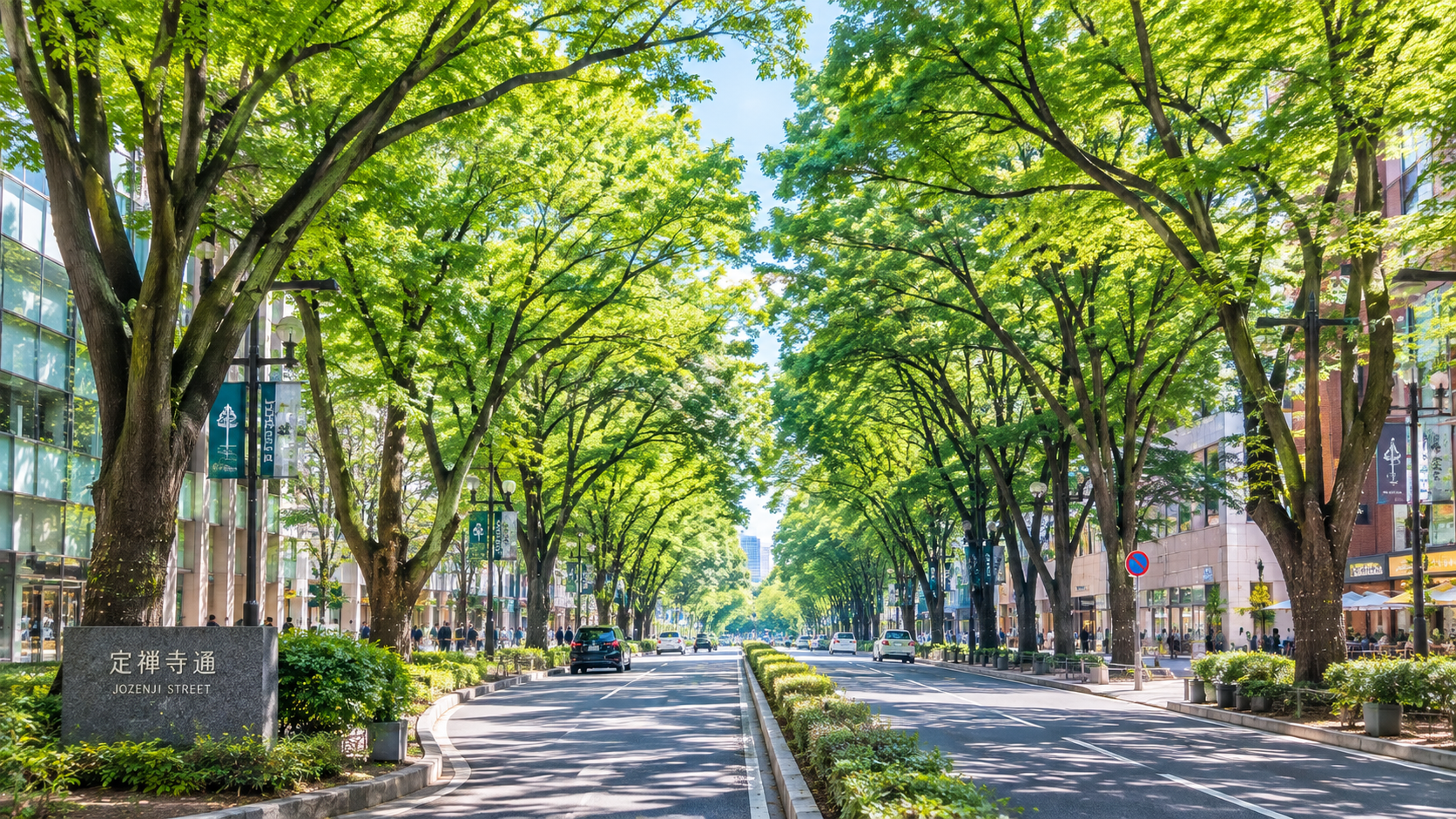 定禅寺通りの写真